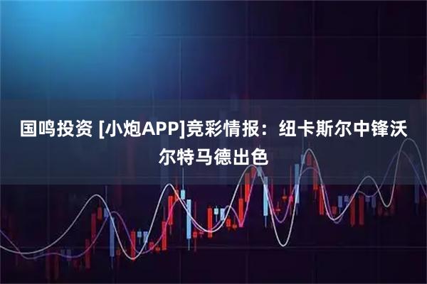 国鸣投资 [小炮APP]竞彩情报：纽卡斯尔中锋沃尔特马德出色