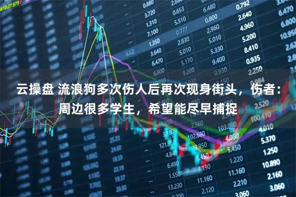 云操盘 流浪狗多次伤人后再次现身街头，伤者：周边很多学生，希望能尽早捕捉